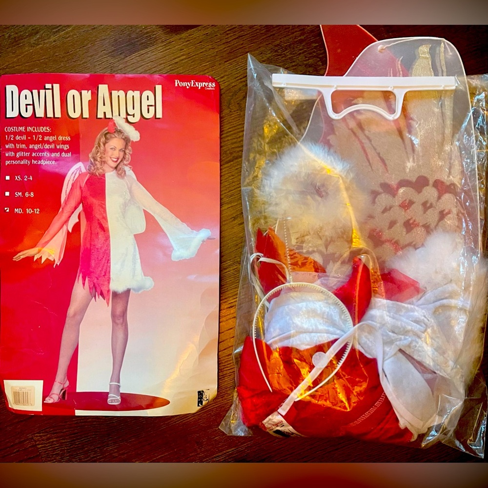 Devil or Angel Adult Medium Halloween Costume